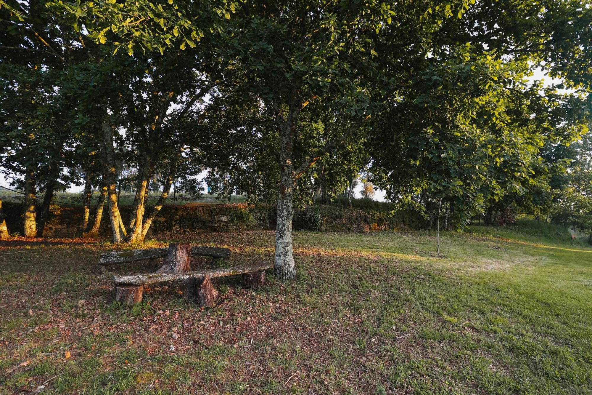 Manteiros Glamping Canas de Senhorim