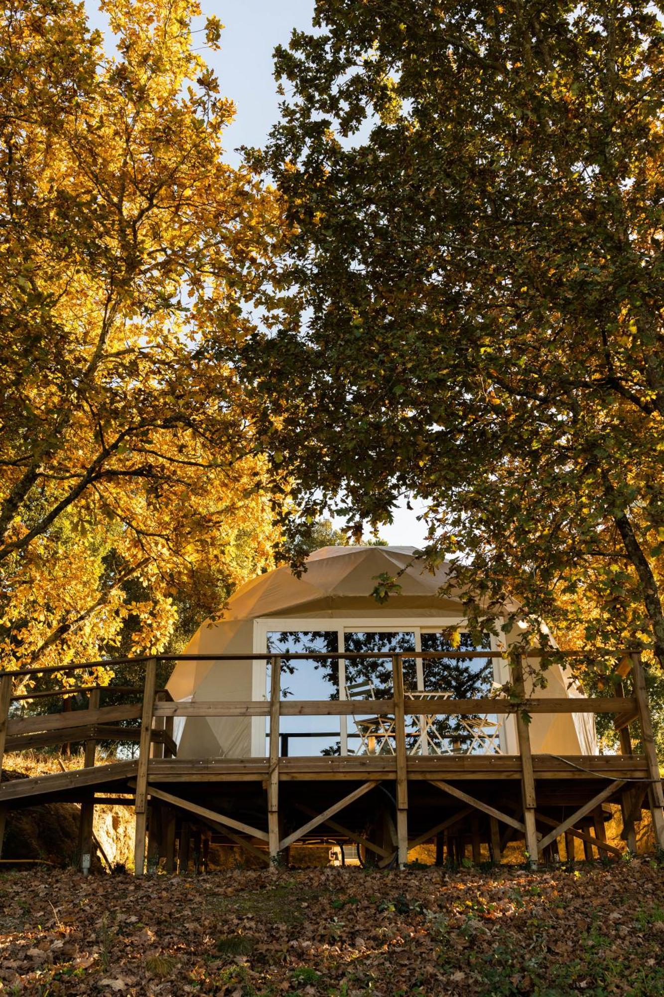 Luxury tent Manteiros Glamping Canas de Senhorim